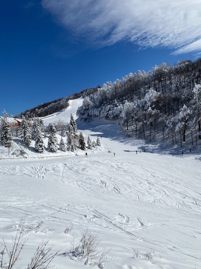 Winter scene of skiers on snowy slopes in Kartepe, Kocaeli, Türkiye.